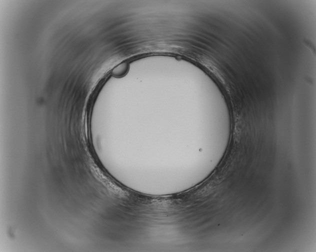 X0000100751080200807101657