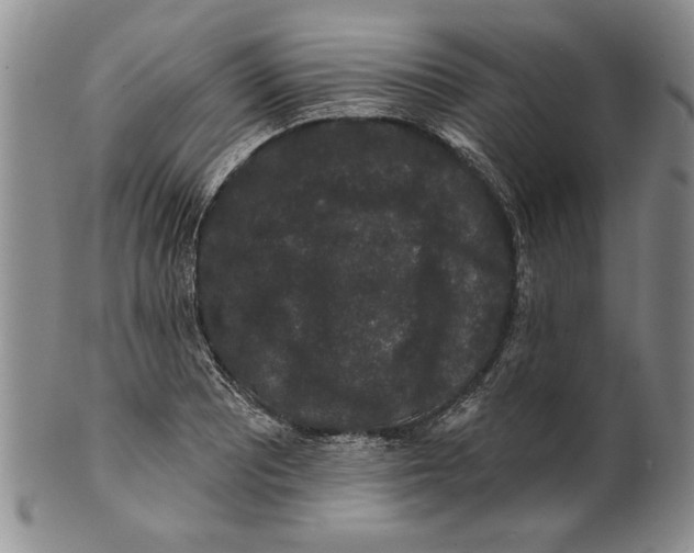 X0000100751081200807101657