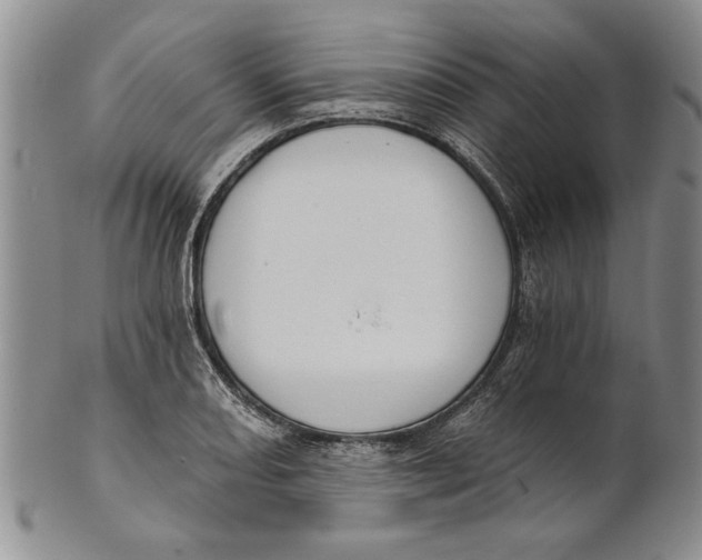 X0000100751082200807101657