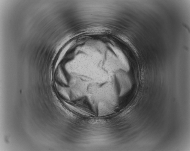 X0000100751083200807101657