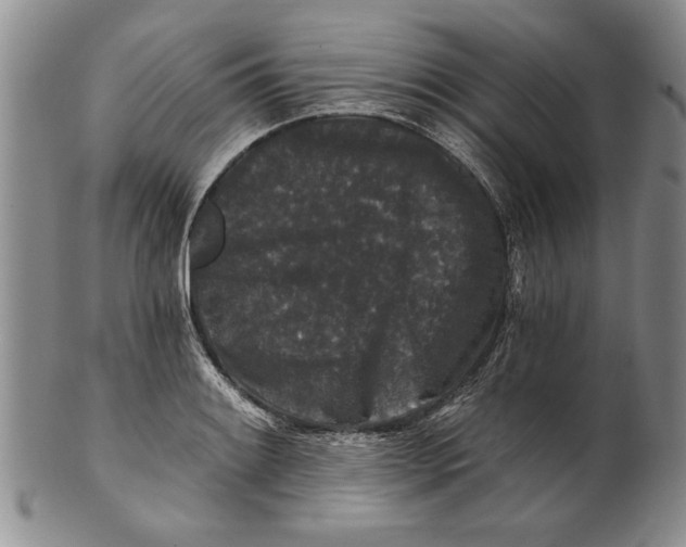 X0000100751084200807101657