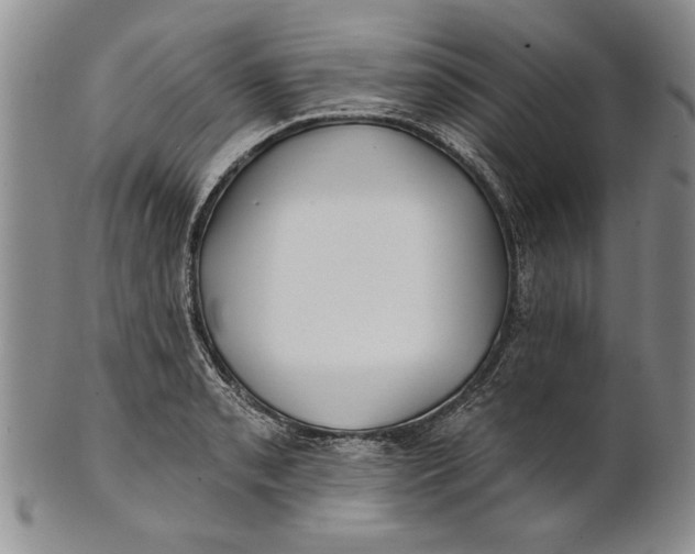 X0000100751085200807101657