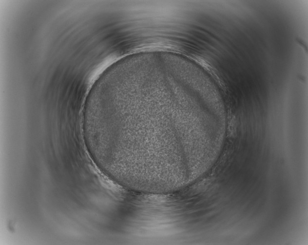 X0000100751086200807101657