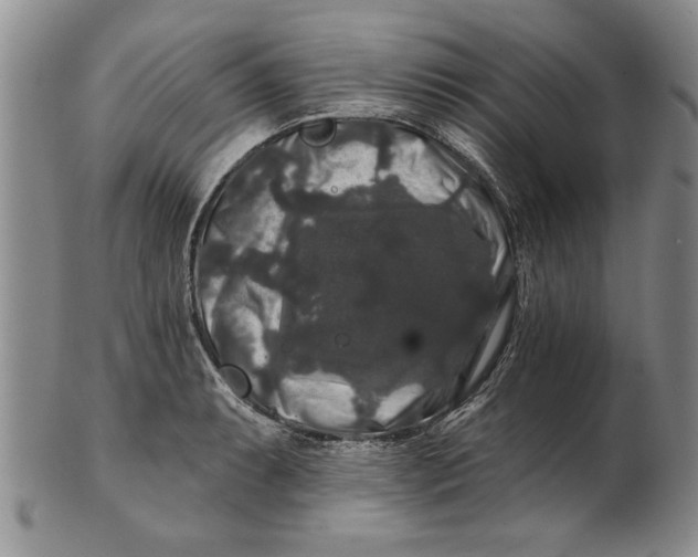 X0000100751087200807101657