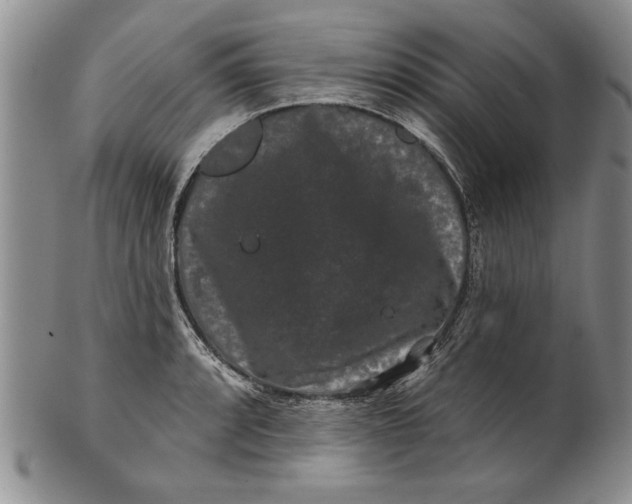 X0000100751088200807101657