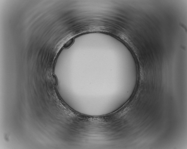 X0000100751089200807101657