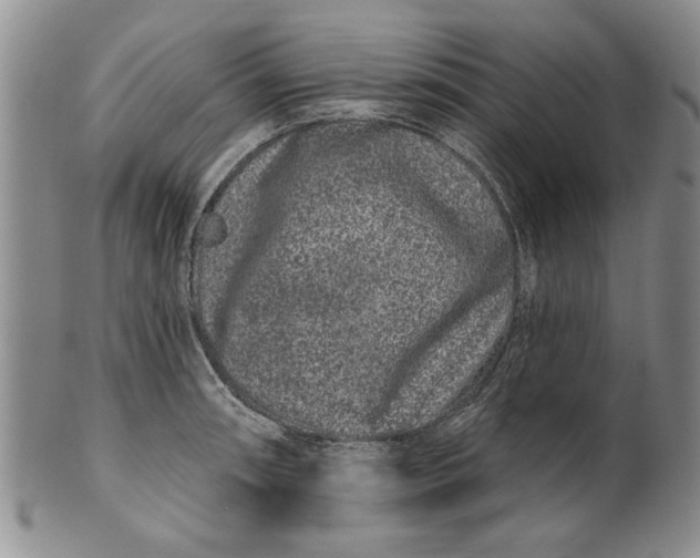 X0000100751090200807101657