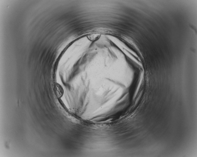 X0000100751091200807101657