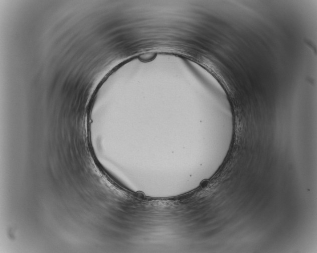 X0000100751092200807101657