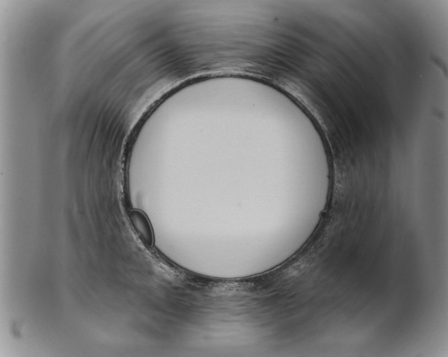 X0000100751093200807101657