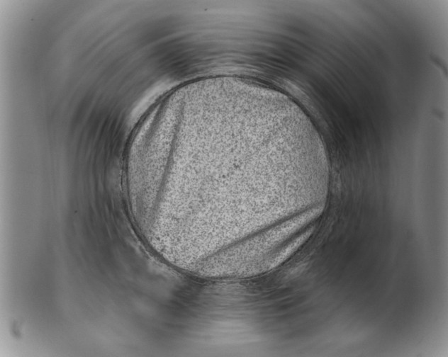 X0000100751094200807101657