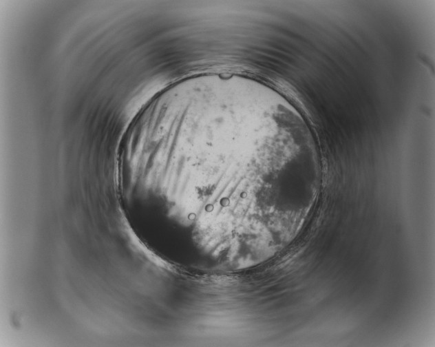 X0000100751095200807101657