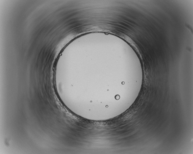 X0000100751096200807101657