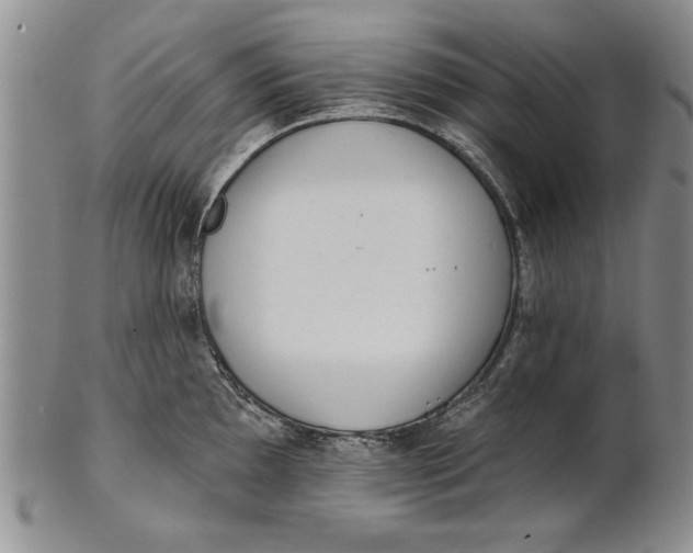 X0000100751097200807101657