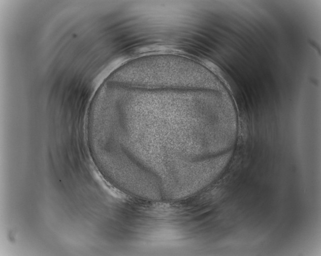 X0000100751098200807101657