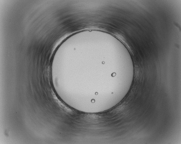 X0000100751100200807101657