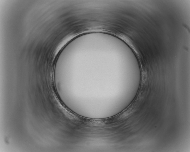 X0000100751101200807101657