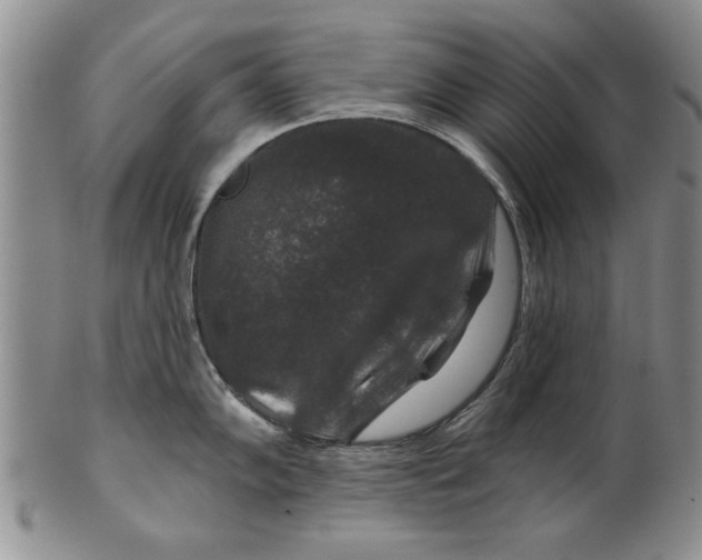 X0000100751102200807101657