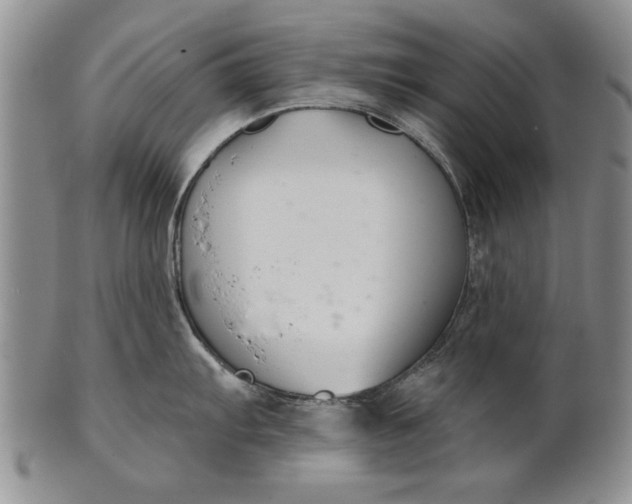 X0000100751103200807101657