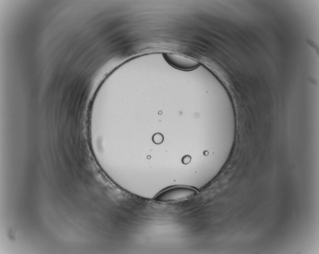 X0000100751104200807101657