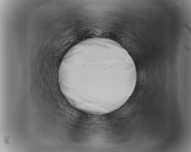 X0000100751105200807101656