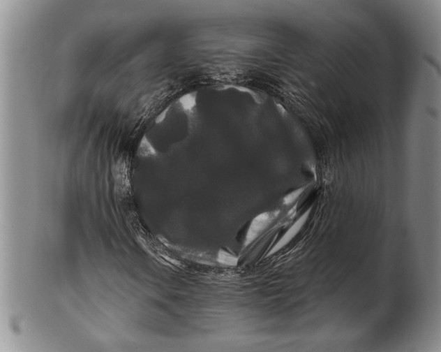 X0000100751106200807101656