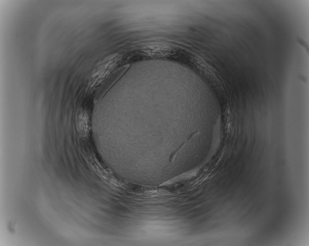 X0000100751108200807101656