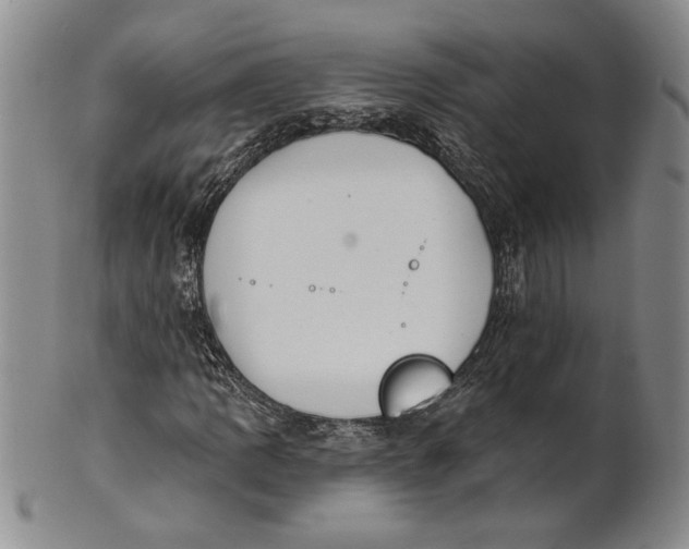 X0000100751109200807101656