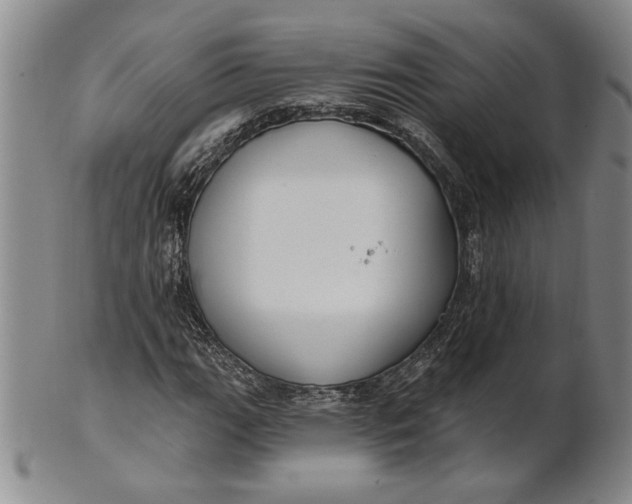 X0000100751111200807101656