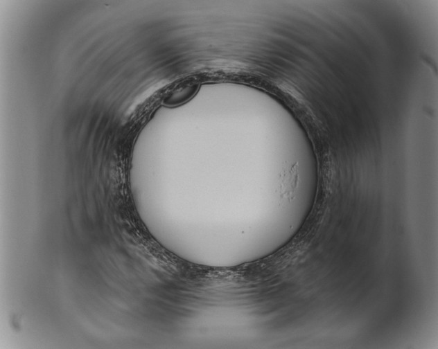 X0000100751112200807101656