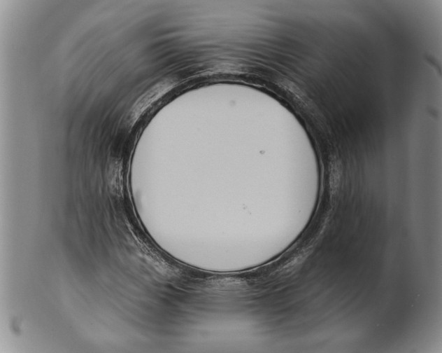 X0000100751113200807101656