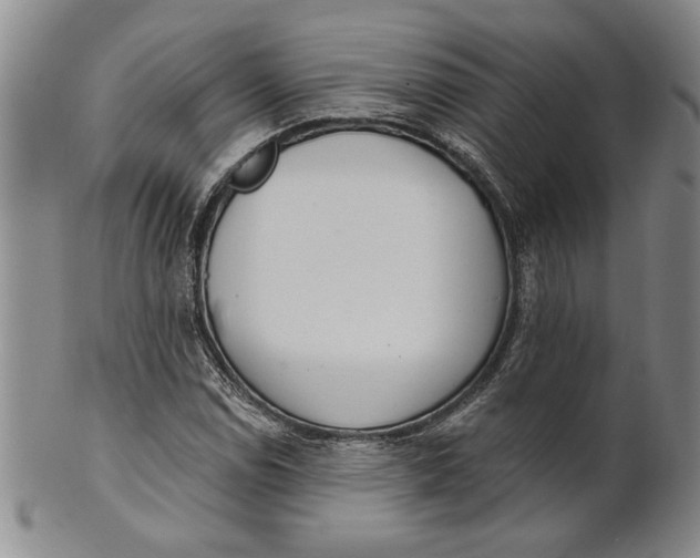 X0000100751114200807101656