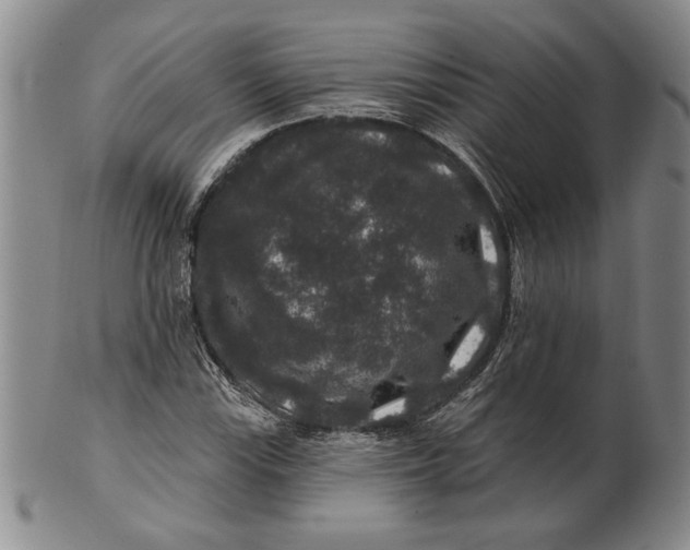 X0000100751115200807101656