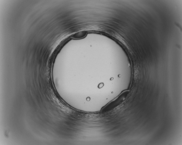 X0000100751116200807101656