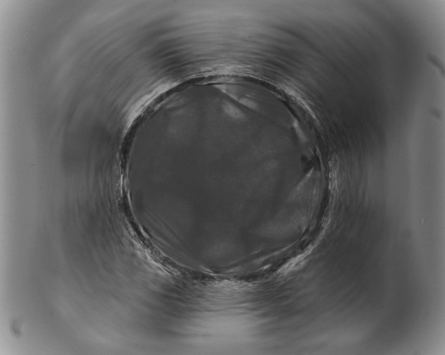 X0000100751117200807101656