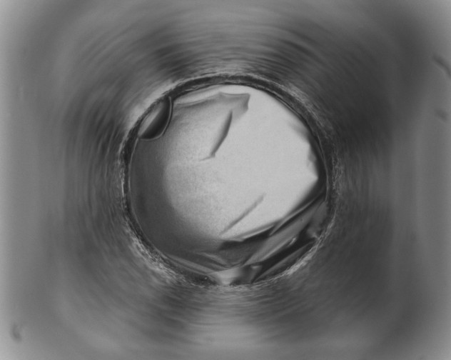 X0000100751118200807101656