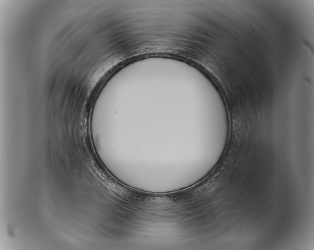 X0000100751119200807101656