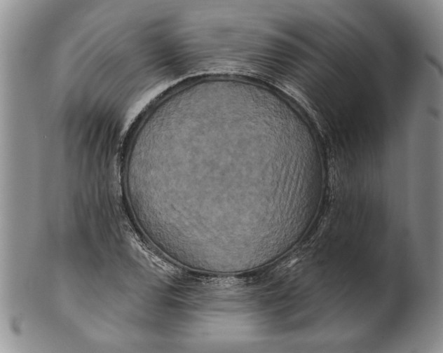 X0000100751120200807101656