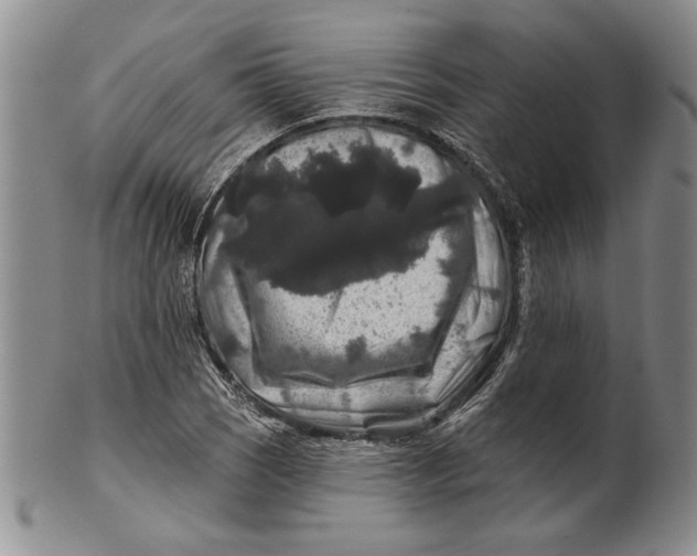 X0000100751121200807101656