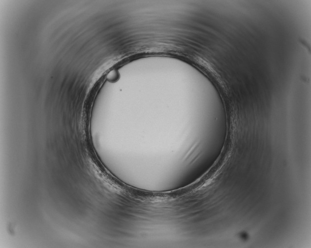 X0000100751122200807101656