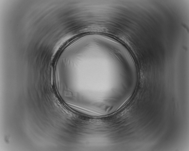 X0000100751123200807101656