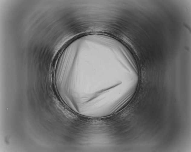 X0000100751124200807101656