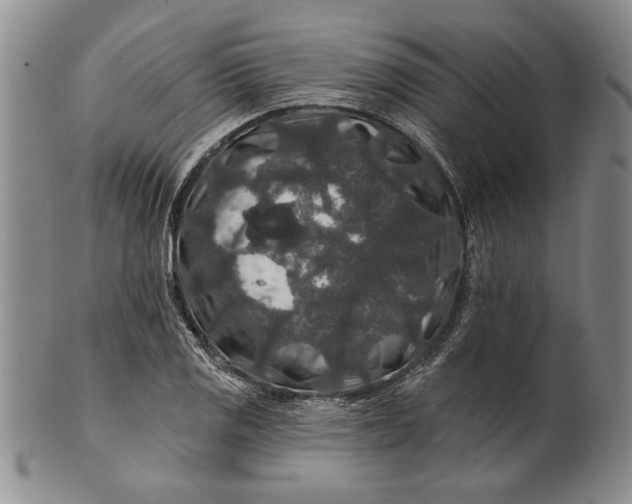 X0000100751125200807101656