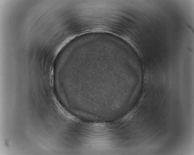 X0000100751126200807101657