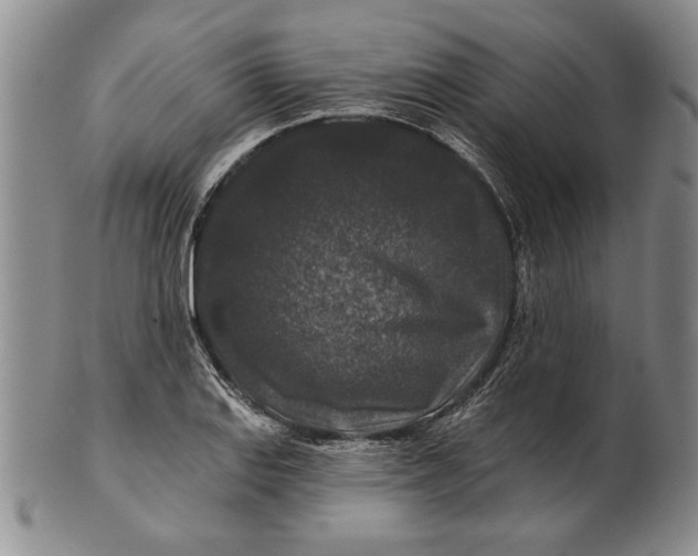 X0000100751127200807101657