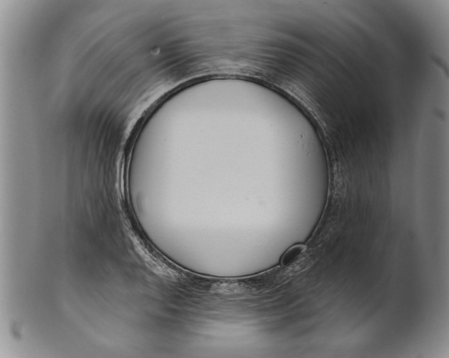 X0000100751128200807101657