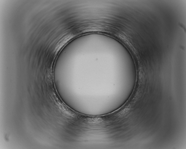 X0000100751129200807101657