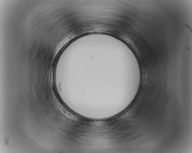 X0000100751130200807101657