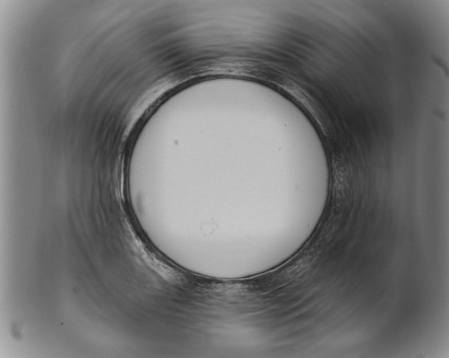 X0000100751131200807101657