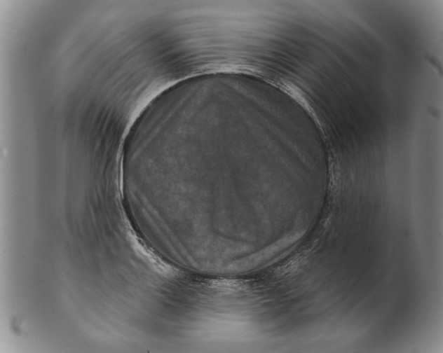 X0000100751132200807101657